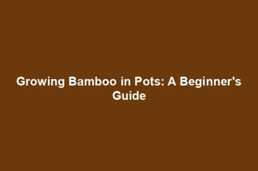 Growing Bamboo in Pots: A Beginner's Guide