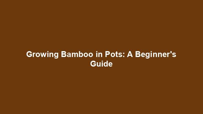 Growing Bamboo in Pots: A Beginner's Guide