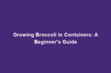 Growing Broccoli in Containers: A Beginner's Guide