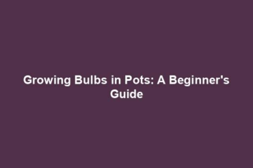 Growing Bulbs in Pots: A Beginner's Guide