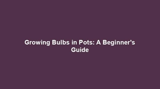 Growing Bulbs in Pots: A Beginner's Guide