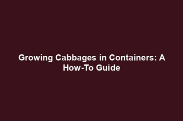 Growing Cabbages in Containers: A How-To Guide