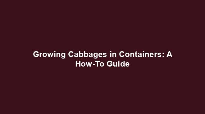 Growing Cabbages in Containers: A How-To Guide