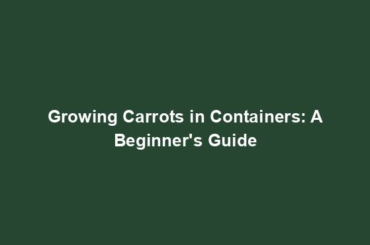 Growing Carrots in Containers: A Beginner's Guide