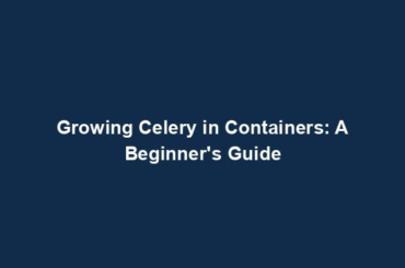 Growing Celery in Containers: A Beginner's Guide