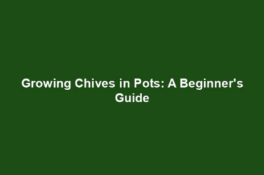 Growing Chives in Pots: A Beginner's Guide