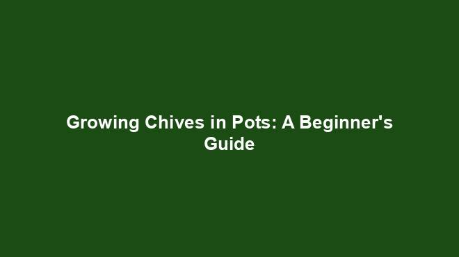 Growing Chives in Pots: A Beginner's Guide