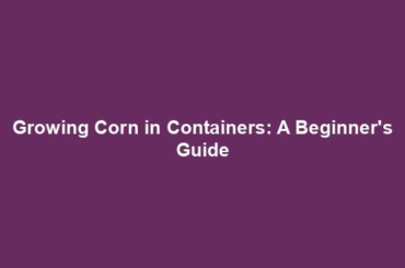 Growing Corn in Containers: A Beginner's Guide