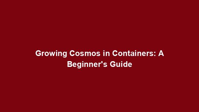 Growing Cosmos in Containers: A Beginner's Guide