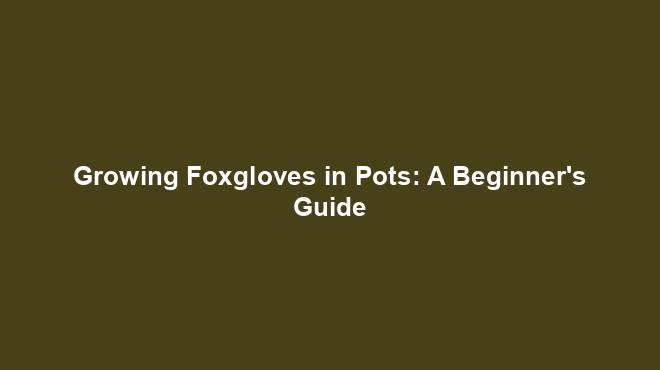 Growing Foxgloves in Pots: A Beginner's Guide