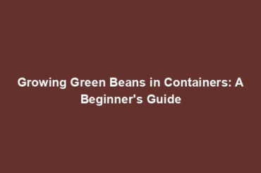 Growing Green Beans in Containers: A Beginner's Guide