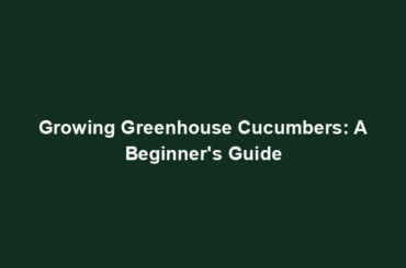 Growing Greenhouse Cucumbers: A Beginner's Guide