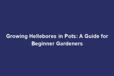 Growing Hellebores in Pots: A Guide for Beginner Gardeners