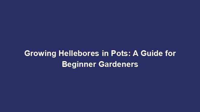 Growing Hellebores in Pots: A Guide for Beginner Gardeners