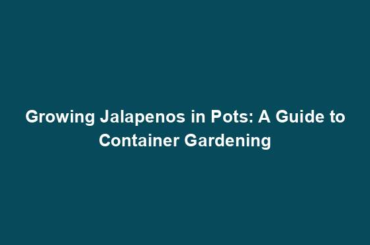 Growing Jalapenos in Pots: A Guide to Container Gardening