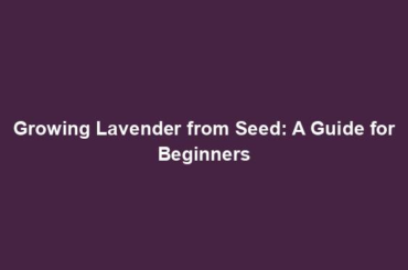 Growing Lavender from Seed: A Guide for Beginners