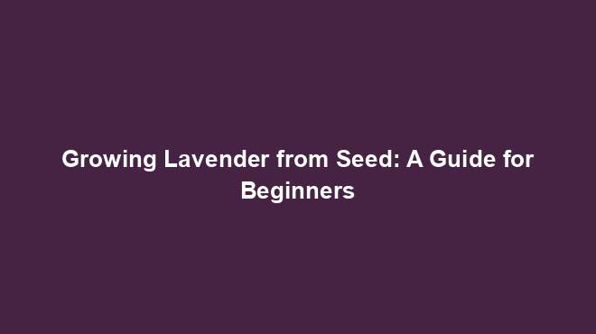 Growing Lavender from Seed: A Guide for Beginners