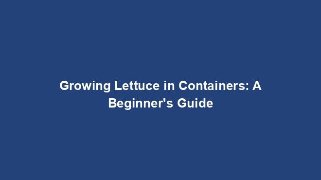 Growing Lettuce in Containers: A Beginner's Guide