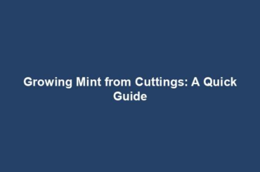 Growing Mint from Cuttings: A Quick Guide