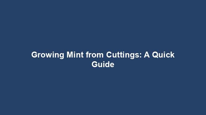 Growing Mint from Cuttings: A Quick Guide - Gardener Guidance