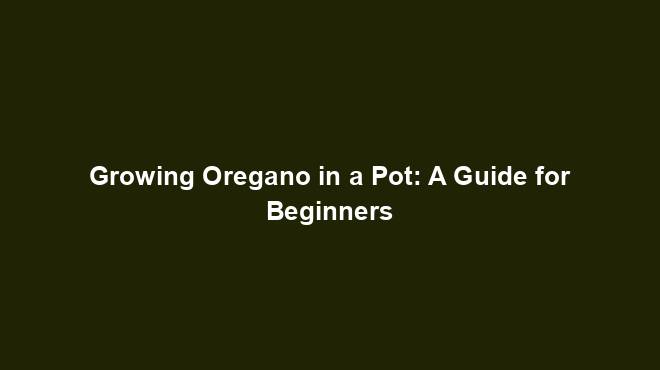 Growing Oregano in a Pot: A Guide for Beginners