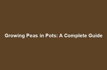 Growing Peas in Pots: A Complete Guide