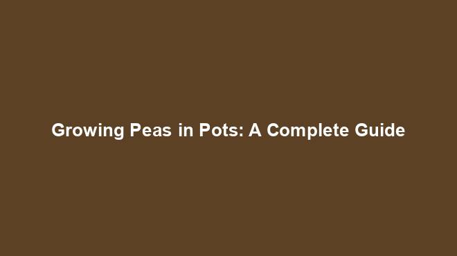 Growing Peas in Pots: A Complete Guide