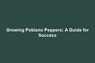 Growing Poblano Peppers: A Guide for Success