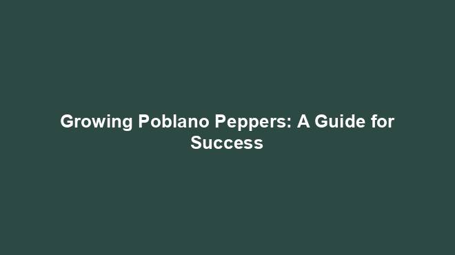 Growing Poblano Peppers: A Guide for Success