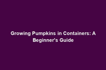 Growing Pumpkins in Containers: A Beginner's Guide