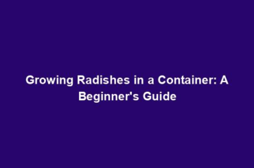 Growing Radishes in a Container: A Beginner's Guide