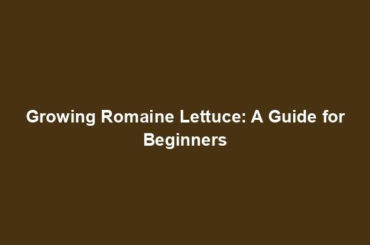 Growing Romaine Lettuce: A Guide for Beginners