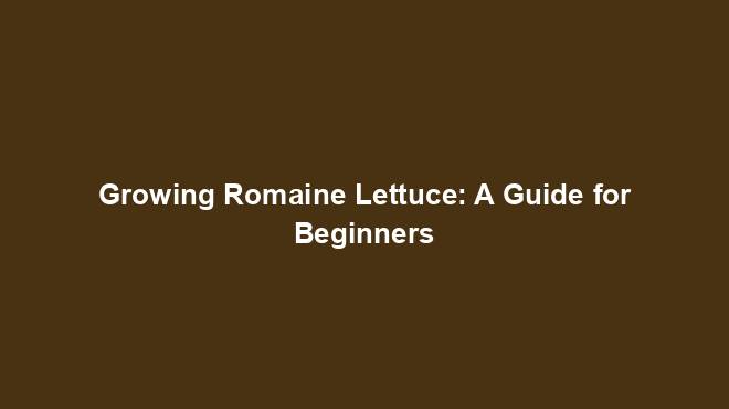 Growing Romaine Lettuce: A Guide for Beginners