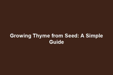 Growing Thyme from Seed: A Simple Guide