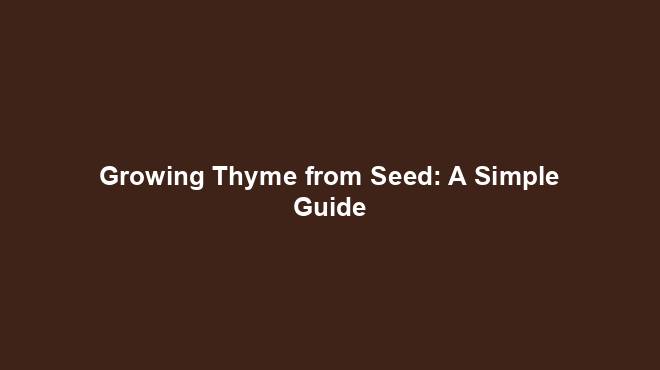 Growing Thyme from Seed: A Simple Guide