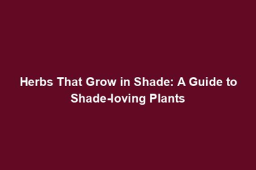 Herbs That Grow in Shade: A Guide to Shade-loving Plants