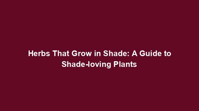 Herbs That Grow in Shade: A Guide to Shade-loving Plants