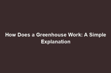 How Does a Greenhouse Work: A Simple Explanation