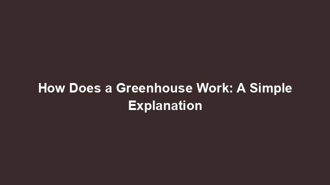 How Does a Greenhouse Work: A Simple Explanation