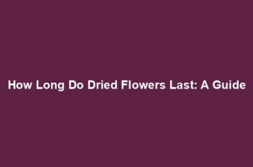 How Long Do Dried Flowers Last: A Guide