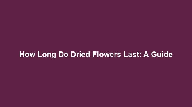 How Long Do Dried Flowers Last: A Guide