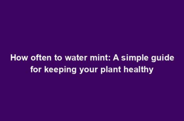 How often to water mint: A simple guide for keeping your plant healthy