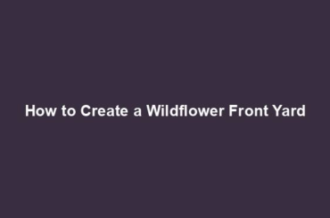 How to Create a Wildflower Front Yard