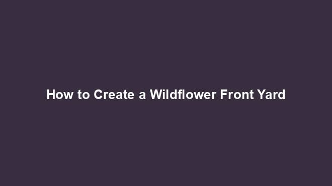 How to Create a Wildflower Front Yard