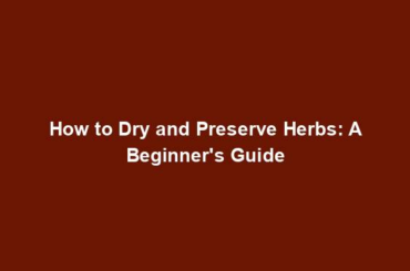 How to Dry and Preserve Herbs: A Beginner's Guide