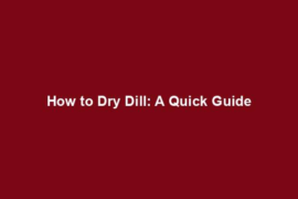How to Dry Dill: A Quick Guide