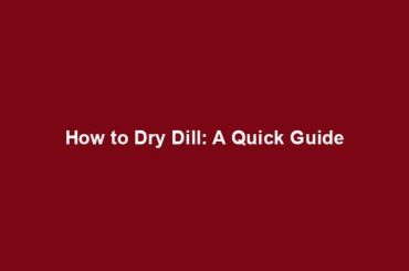 How to Dry Dill: A Quick Guide