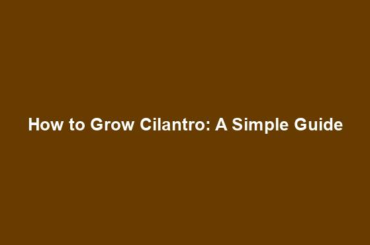 How to Grow Cilantro: A Simple Guide