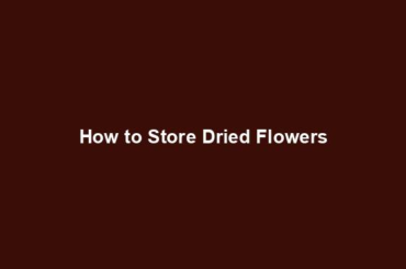 How to Store Dried Flowers