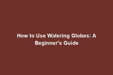 How to Use Watering Globes: A Beginner's Guide